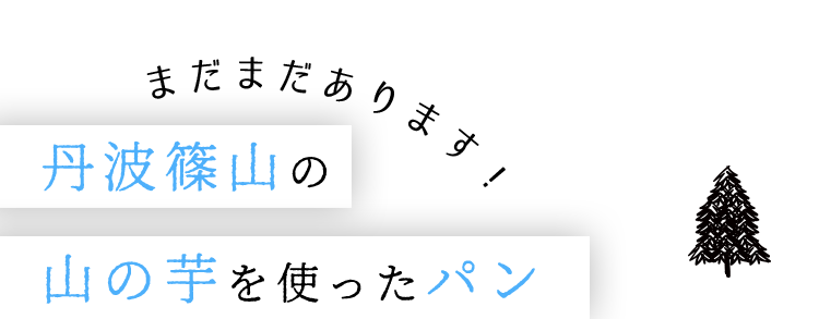 まだまだあります！